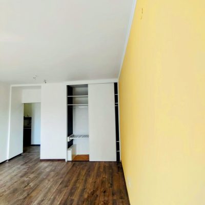 Nappali festés citrus liget színben